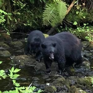 Meet your Posher, Jodie